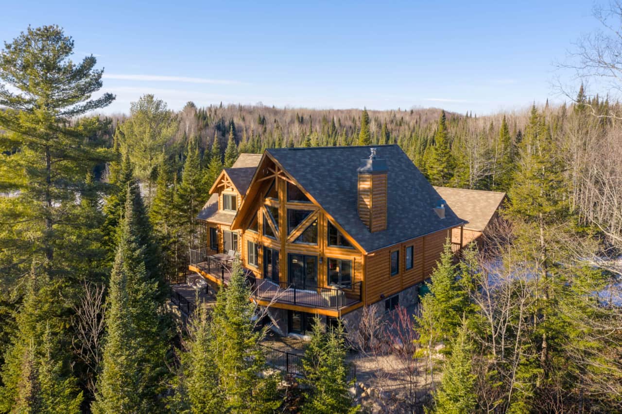 View of the forest from Chalet Baycliff