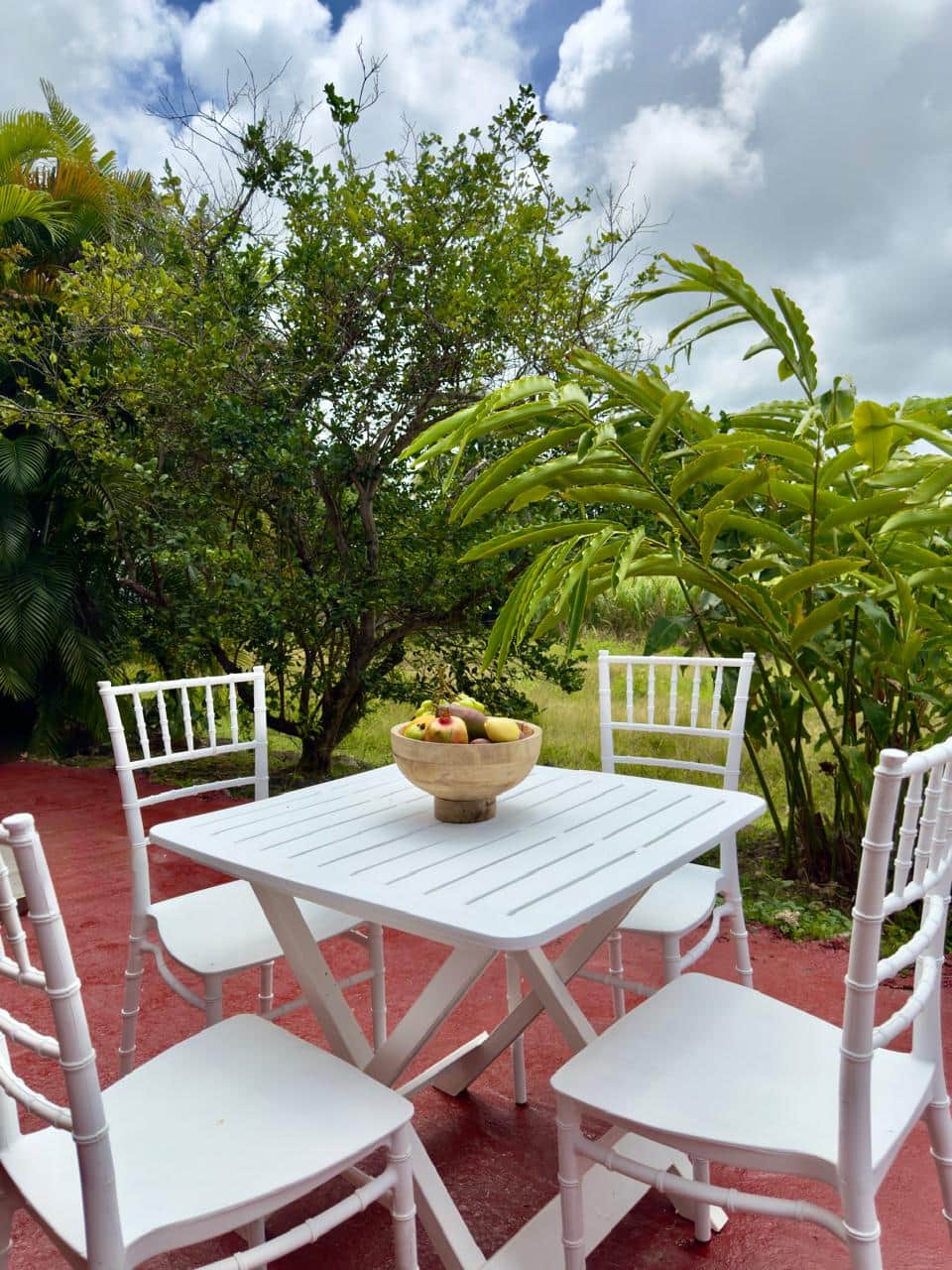 EXTERIEUR - Espace repas 2