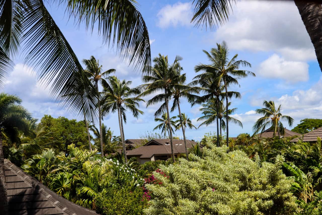 Garden views from unit