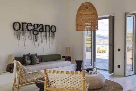 Living room area with a sofa bed