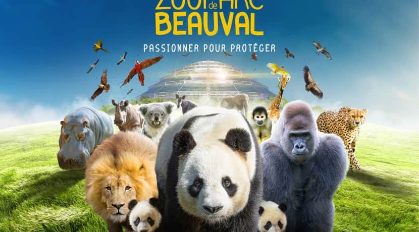 zoo-de-beauval-830x460.jpg