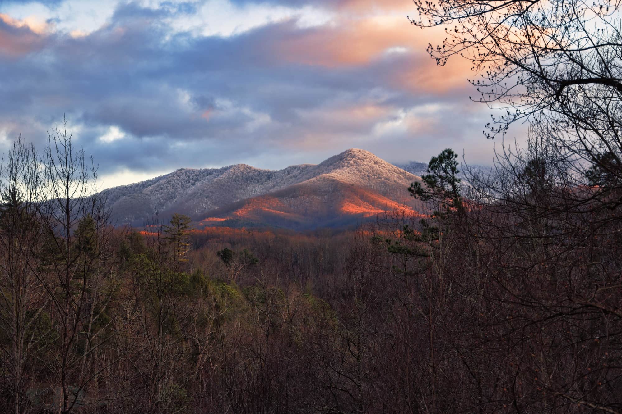 Bear in Mind view of Mt.LeConte