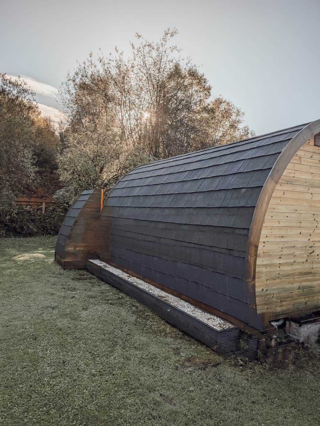 1000005494 1000005494