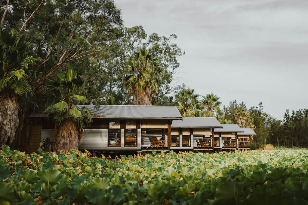 Our 4 king boathouses Our 4 king boathouses