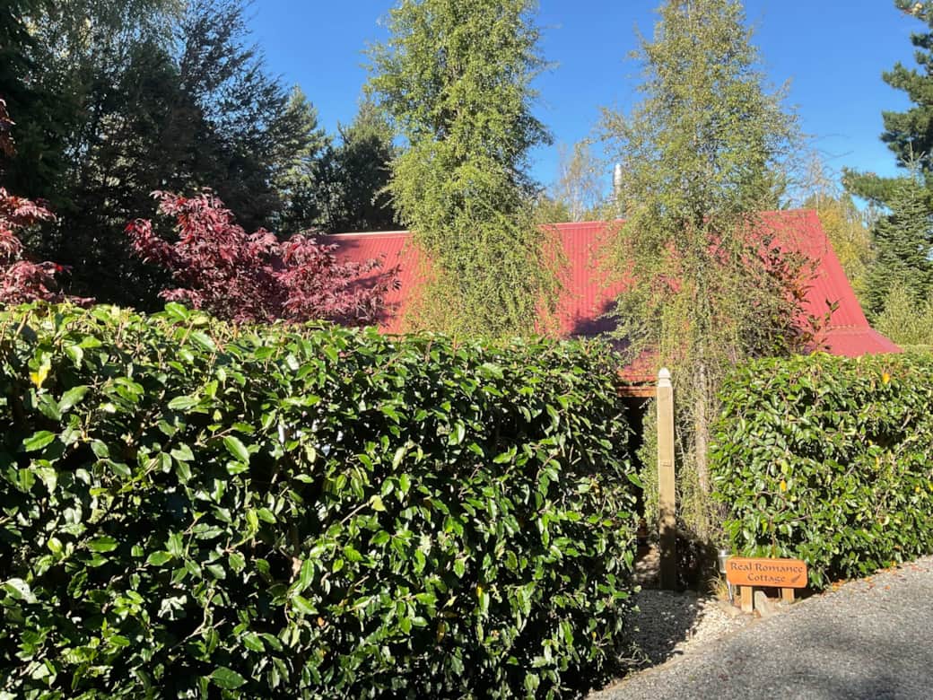 Entrance to cottage through the gate between established hedges Entrance to cottage through the gate between established hedges
