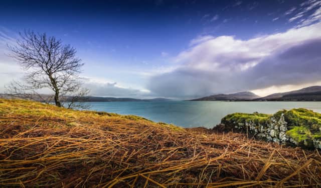 View across the water from Aros Mains