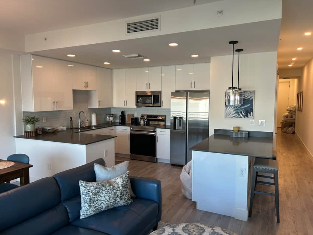 Living area and kitchen