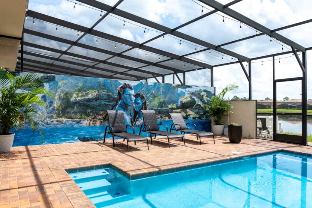 Image Title