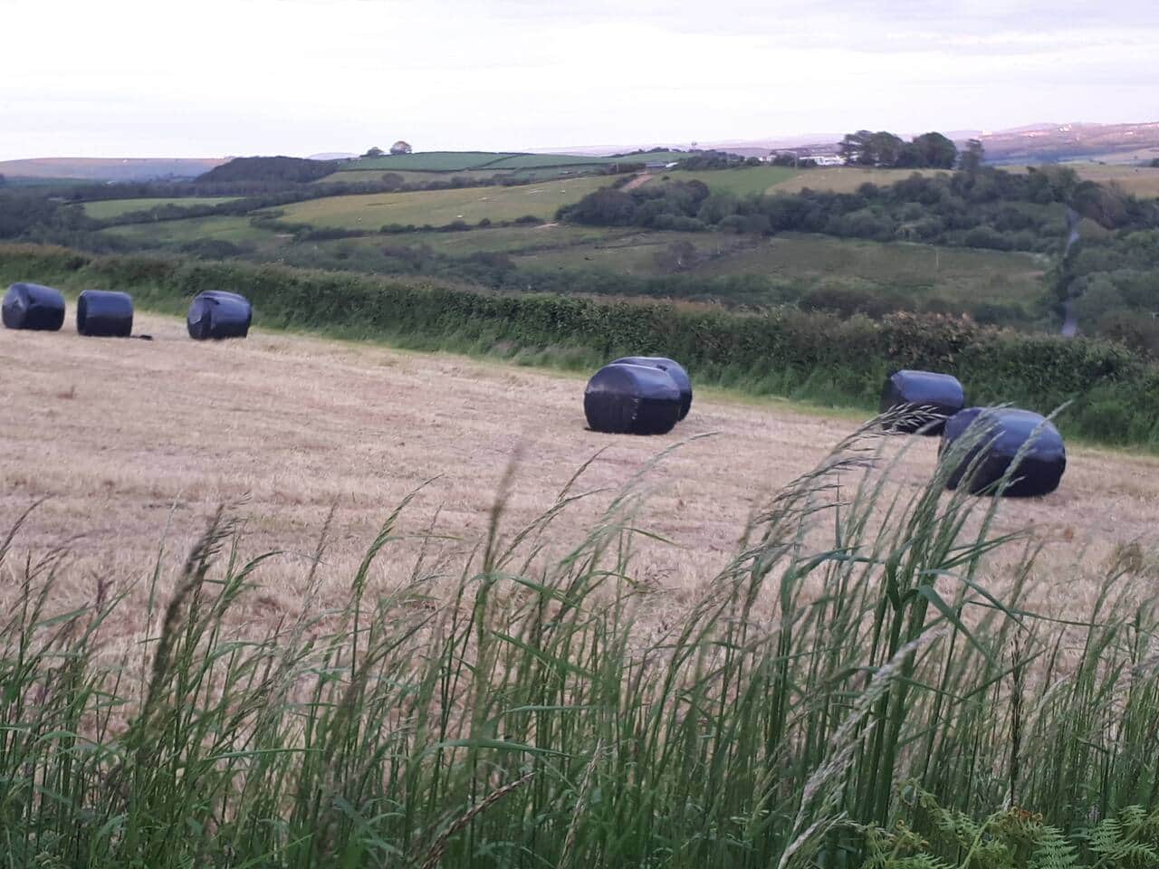 farmers field next to cabin