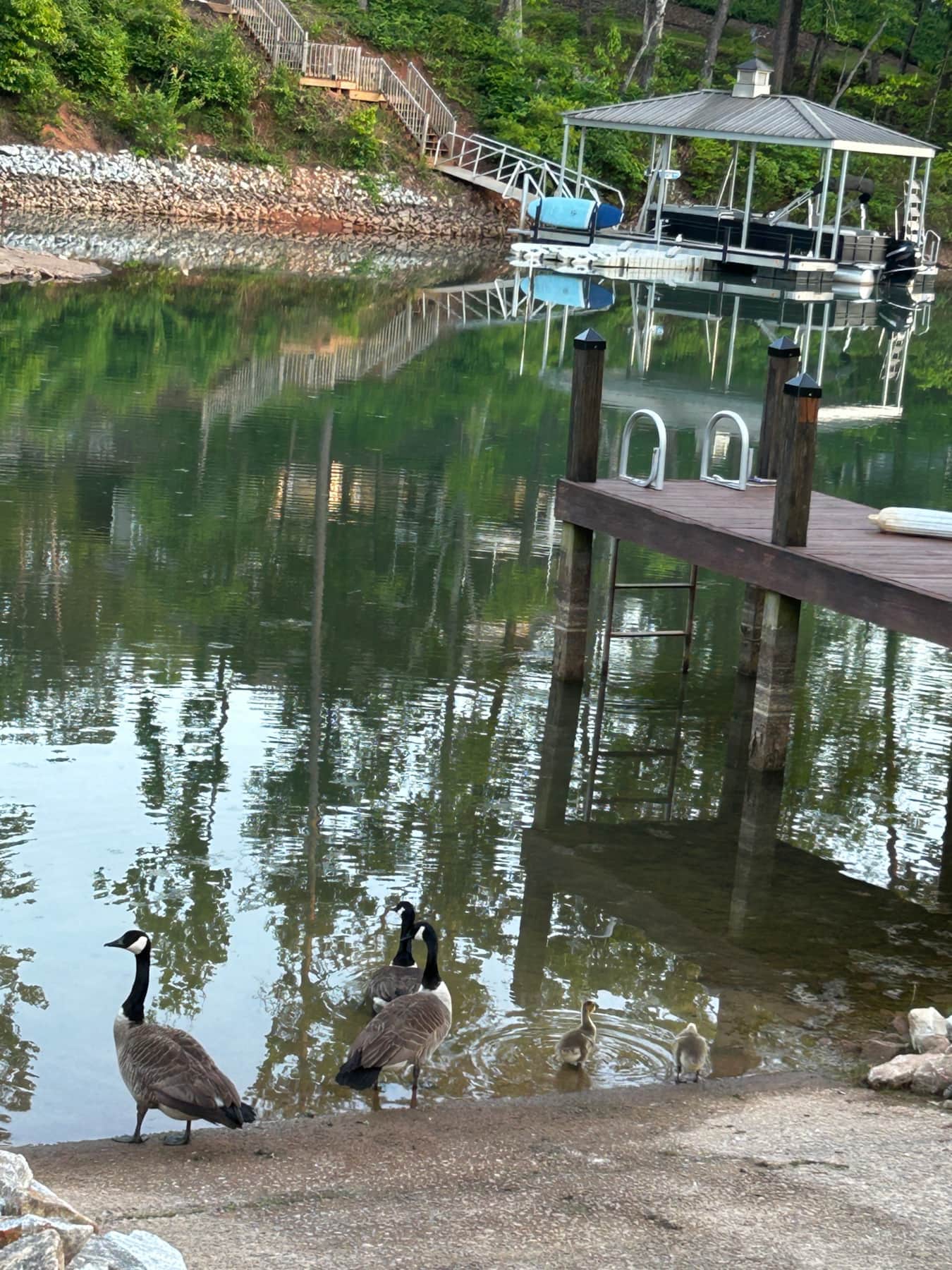 Community Day Use Dock Community Day Use Dock