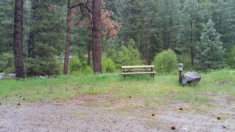Campsite 29