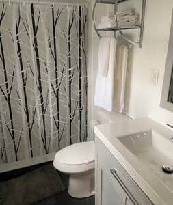 Master bath with shower