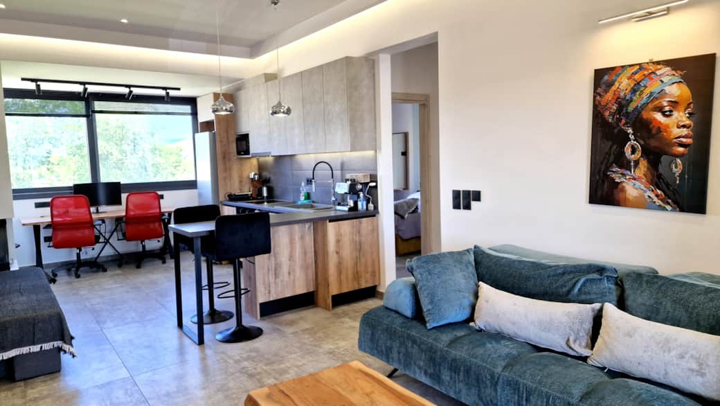 Living room kitchen