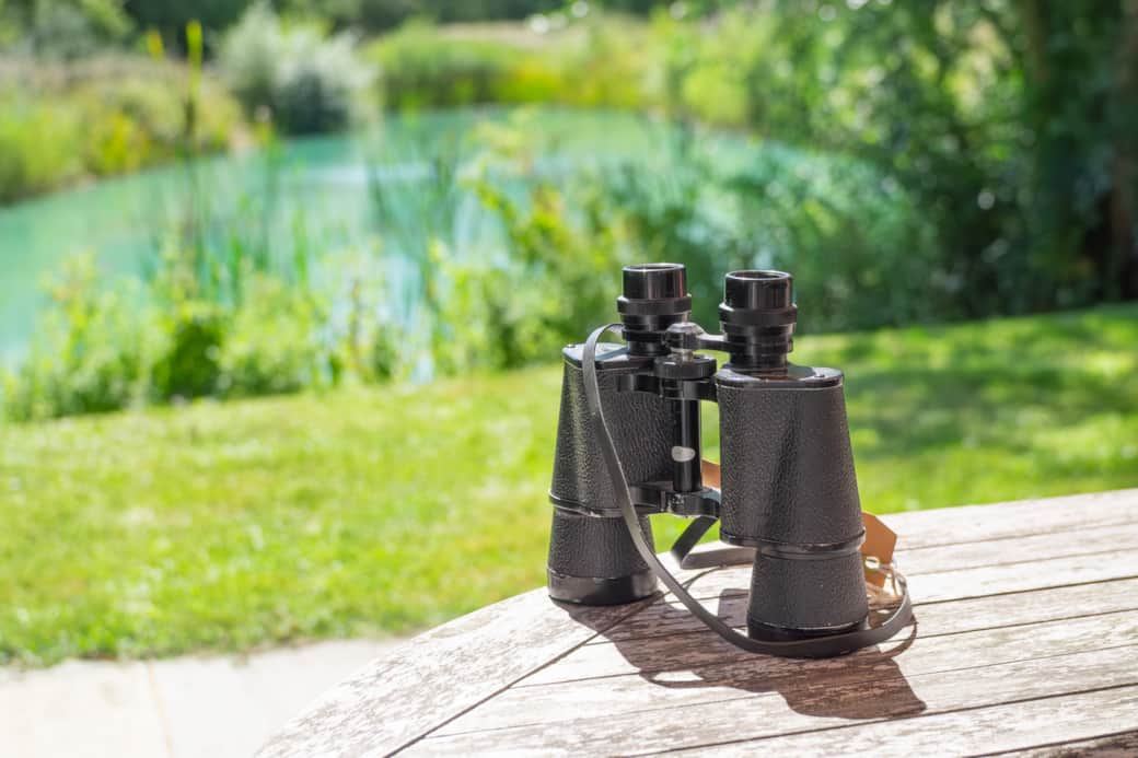 We provide our guests with a pair of binoculars so you can enjoy watching all the birds & wildlife.