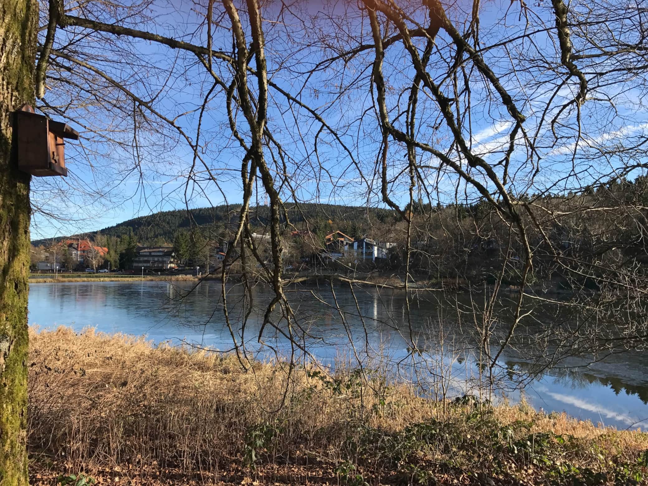 Frühjahrsimpression Kurpark