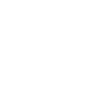 The Knotty Bear