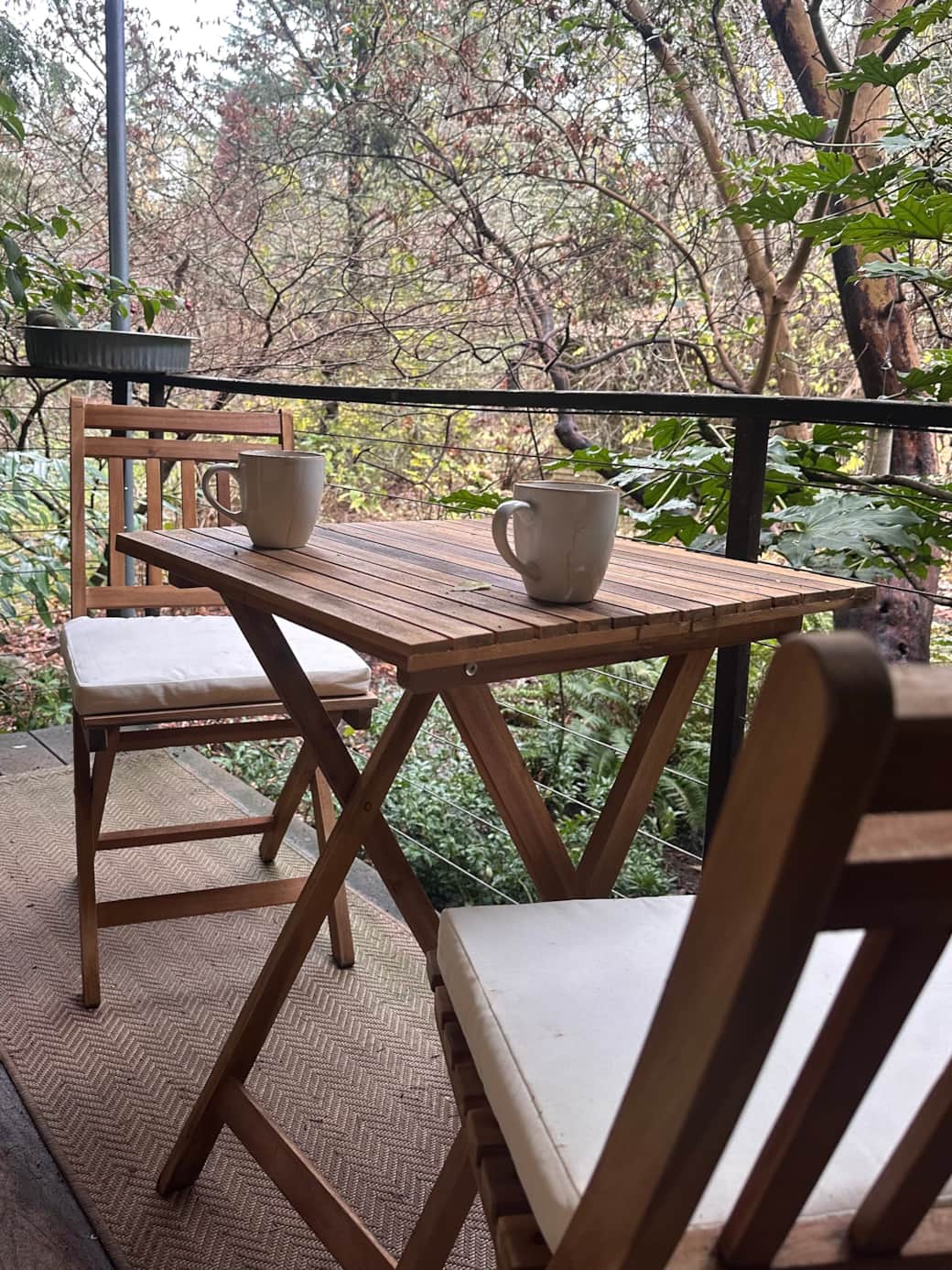 Morning coffee with the birds