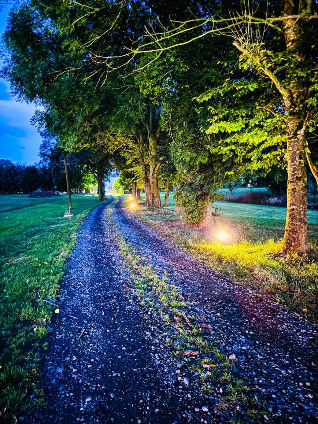 L'allée