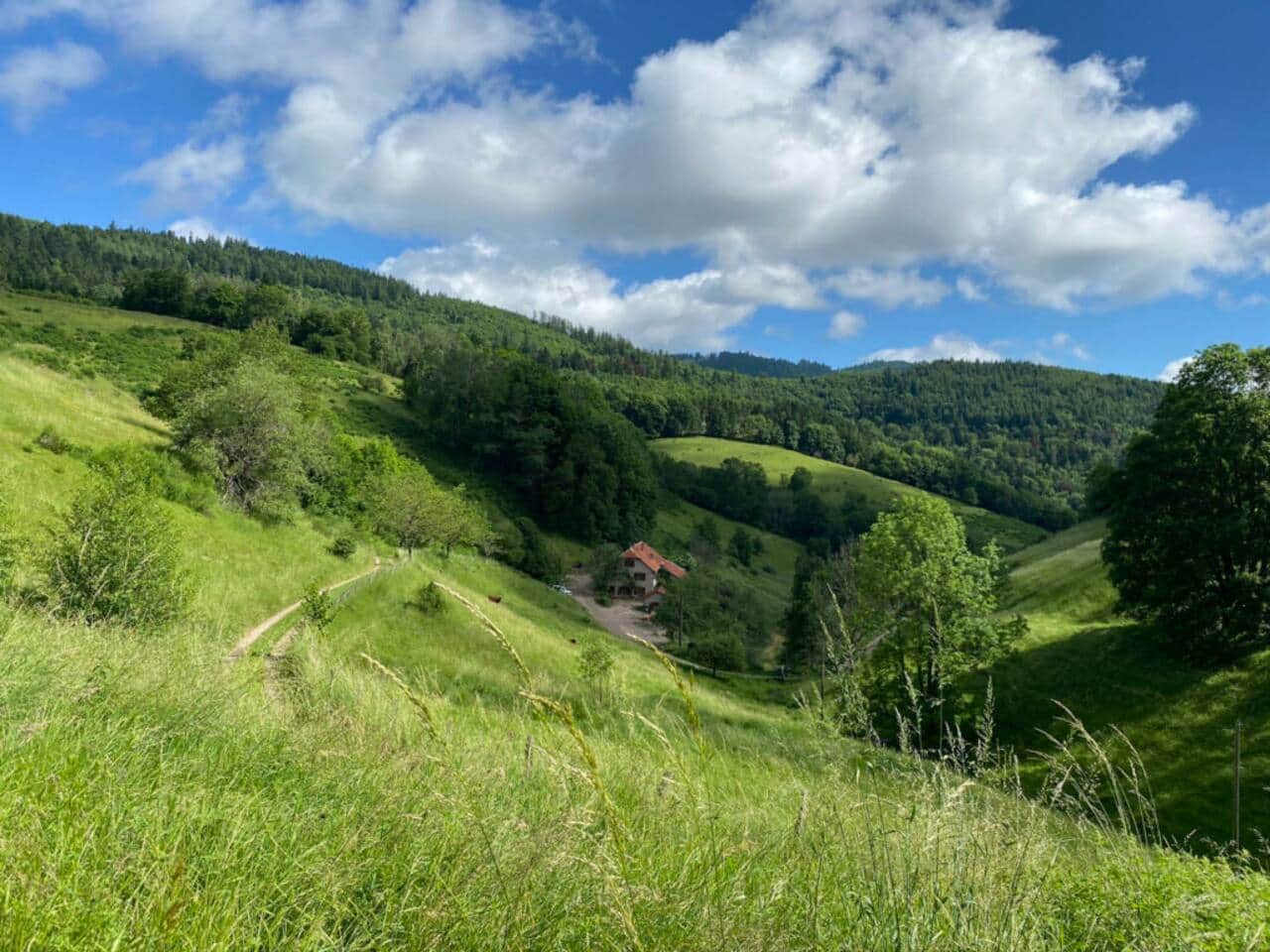 Der Bauernhof