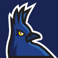 Mountain Jay Properties