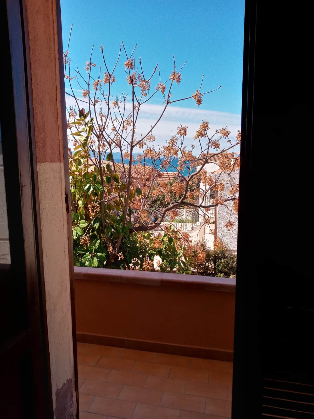 PHOTO 2026 10 31 12 09 39