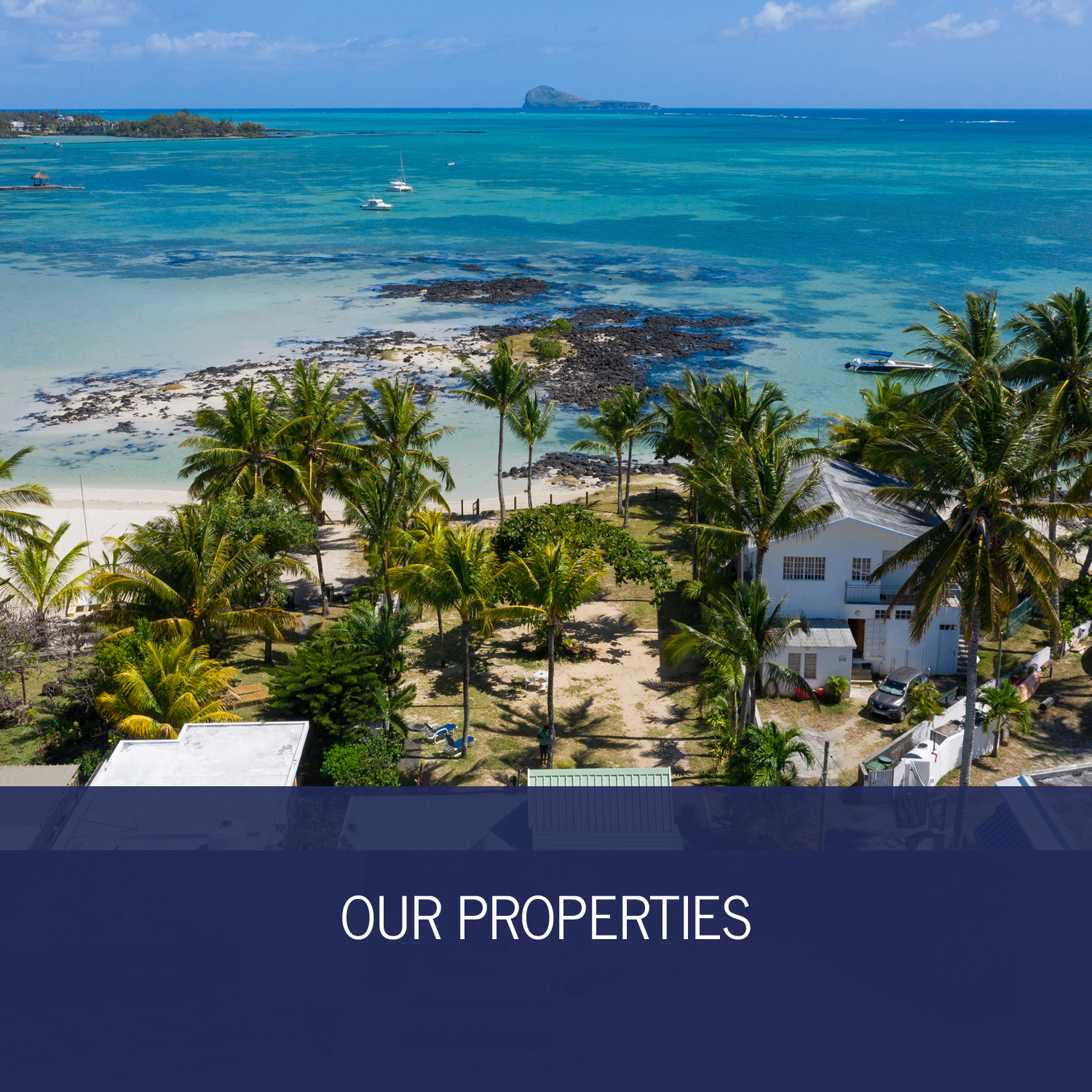 Our properties