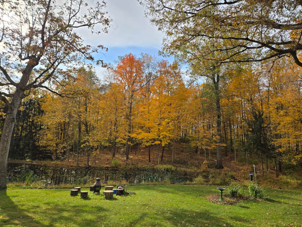 Colors to enjoy every season Colors to enjoy every season