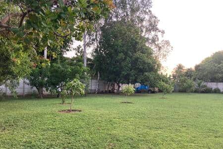 outdoor