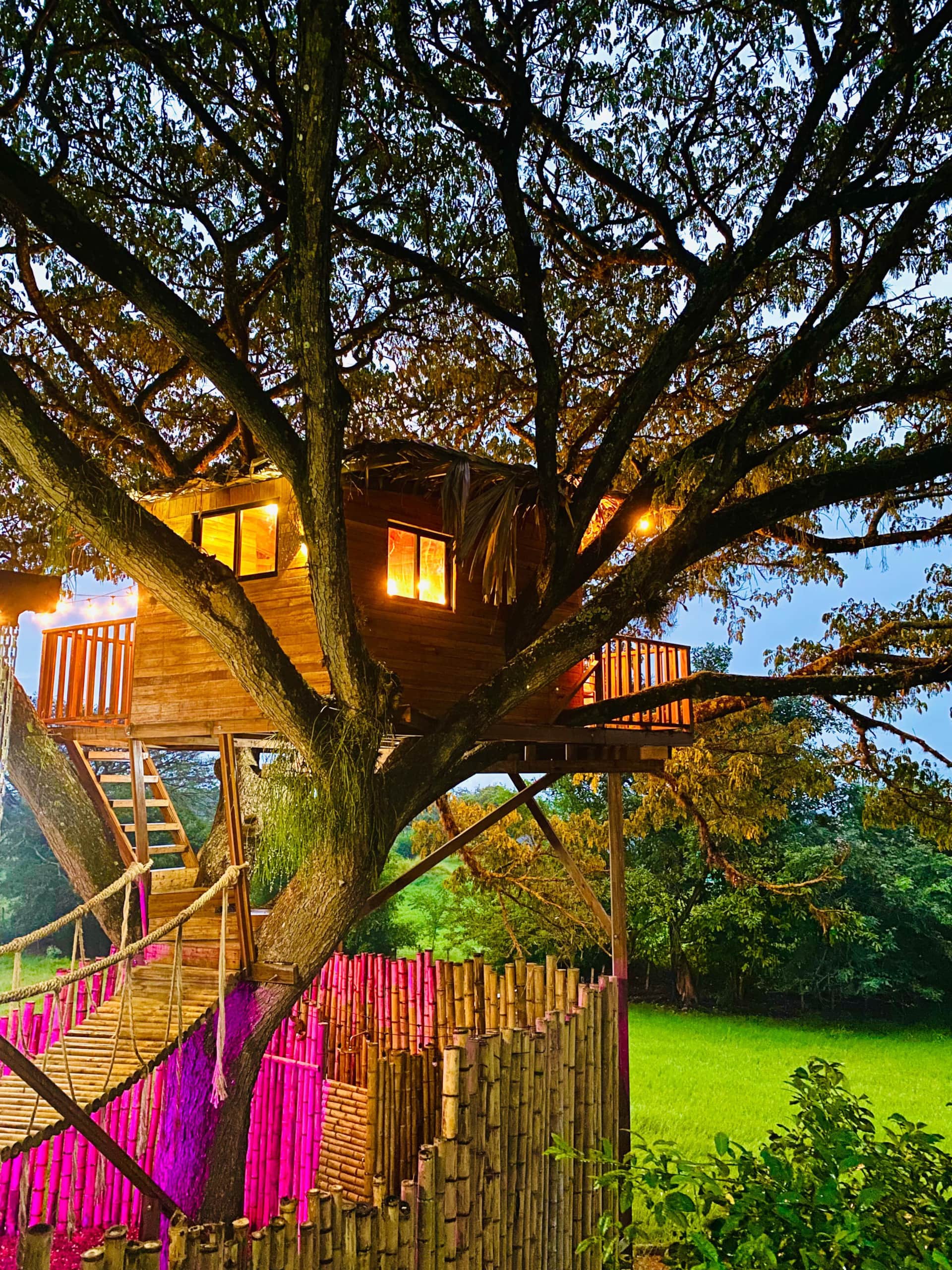 Relax & Sabor: cabaña del árbol con jacuzzi y cena de pizzas