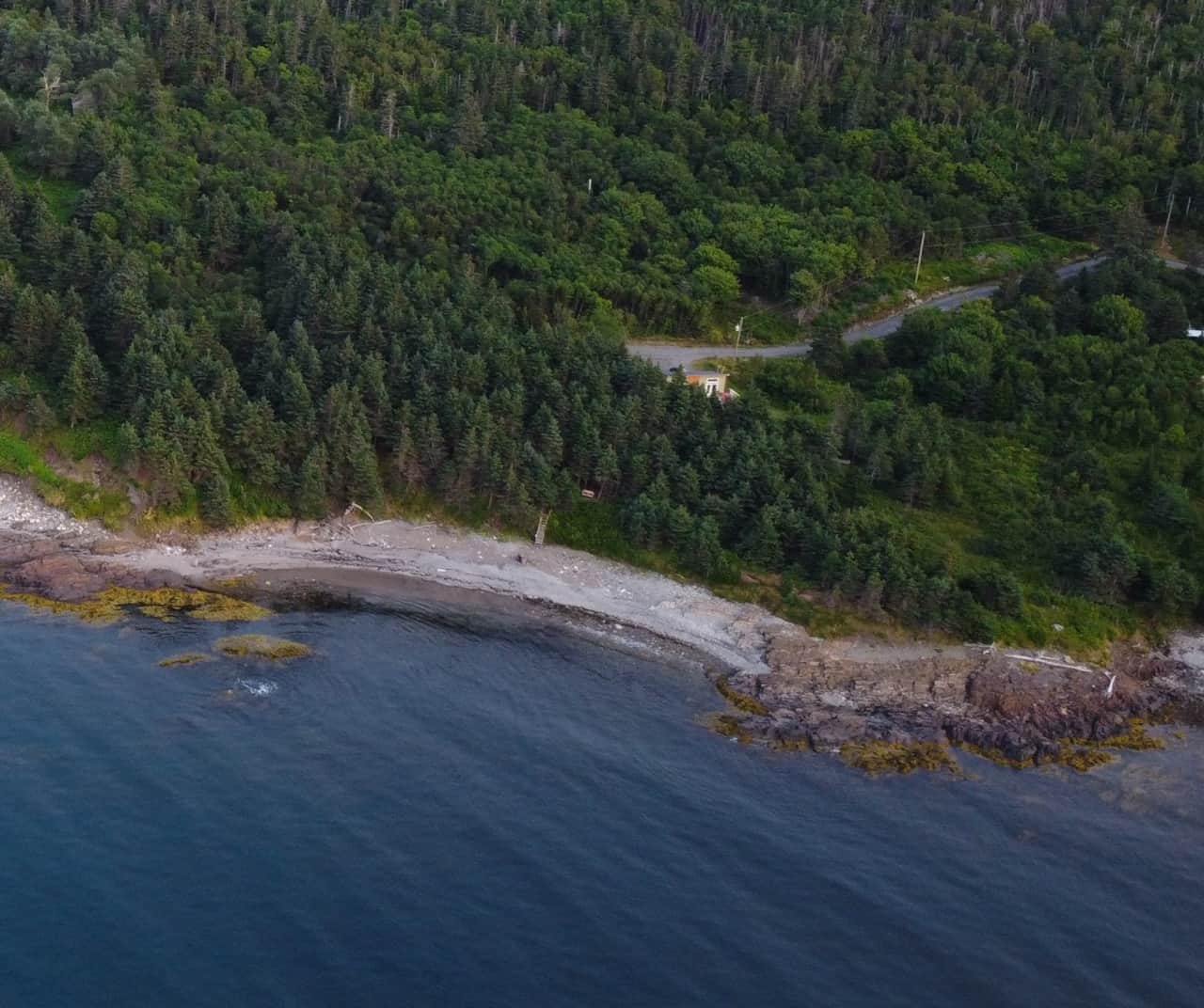 Cove & Sea is surrounded by Pristine Wilderness