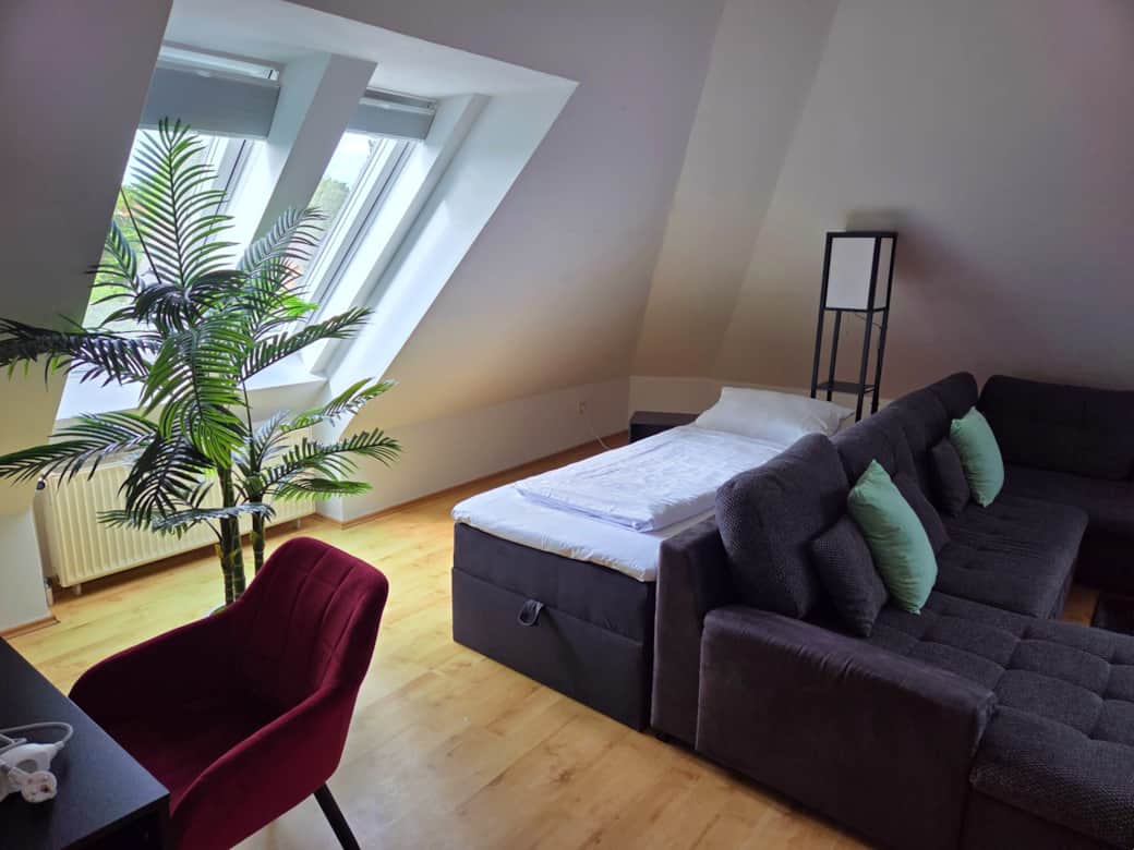 Schlafsofa und Einzelbett im Wohnzimmer Schlafsofa und Einzelbett im Wohnzimmer