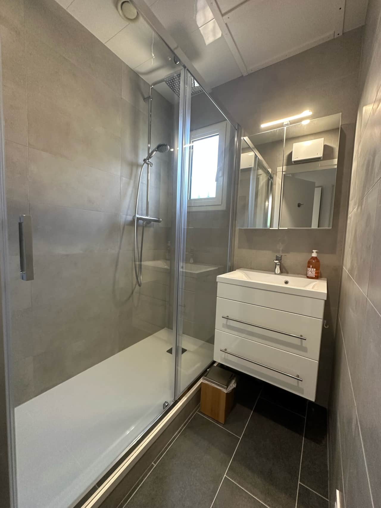 PV 42 salle d'eau