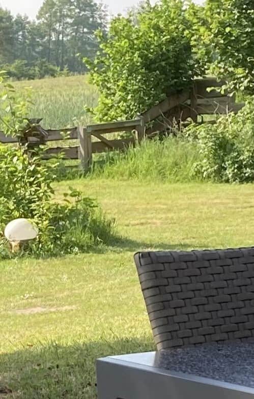 yAusblick von der Terrasse