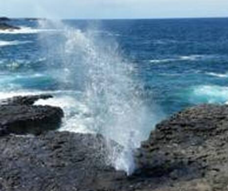 The Little Blowhole