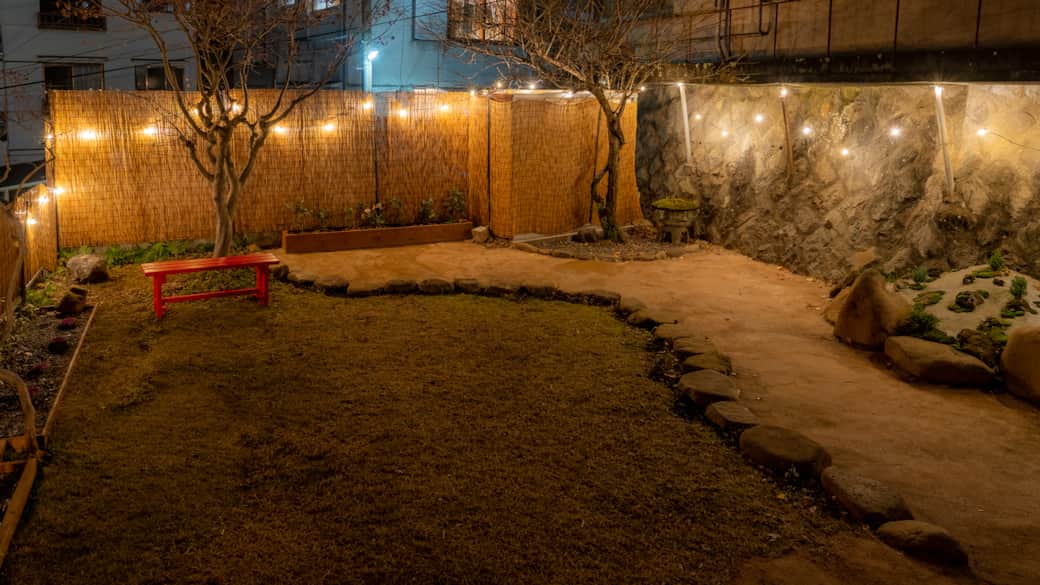 Garden by night