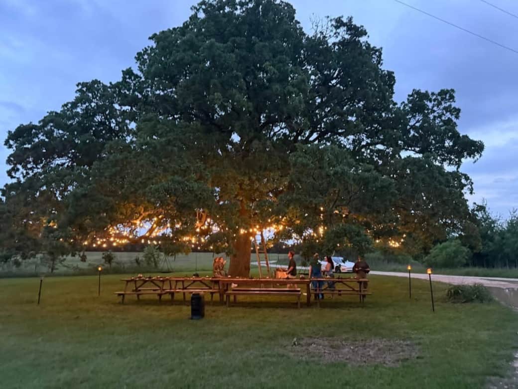 Savor time in nature beneath the Happiness Tree, perfect for picnics day or night. Gather your group around rustic cedar tables, handcrafted by local artisans, for a memorable outdoor experience. A hose and a charcoal grill are conveniently nearby.