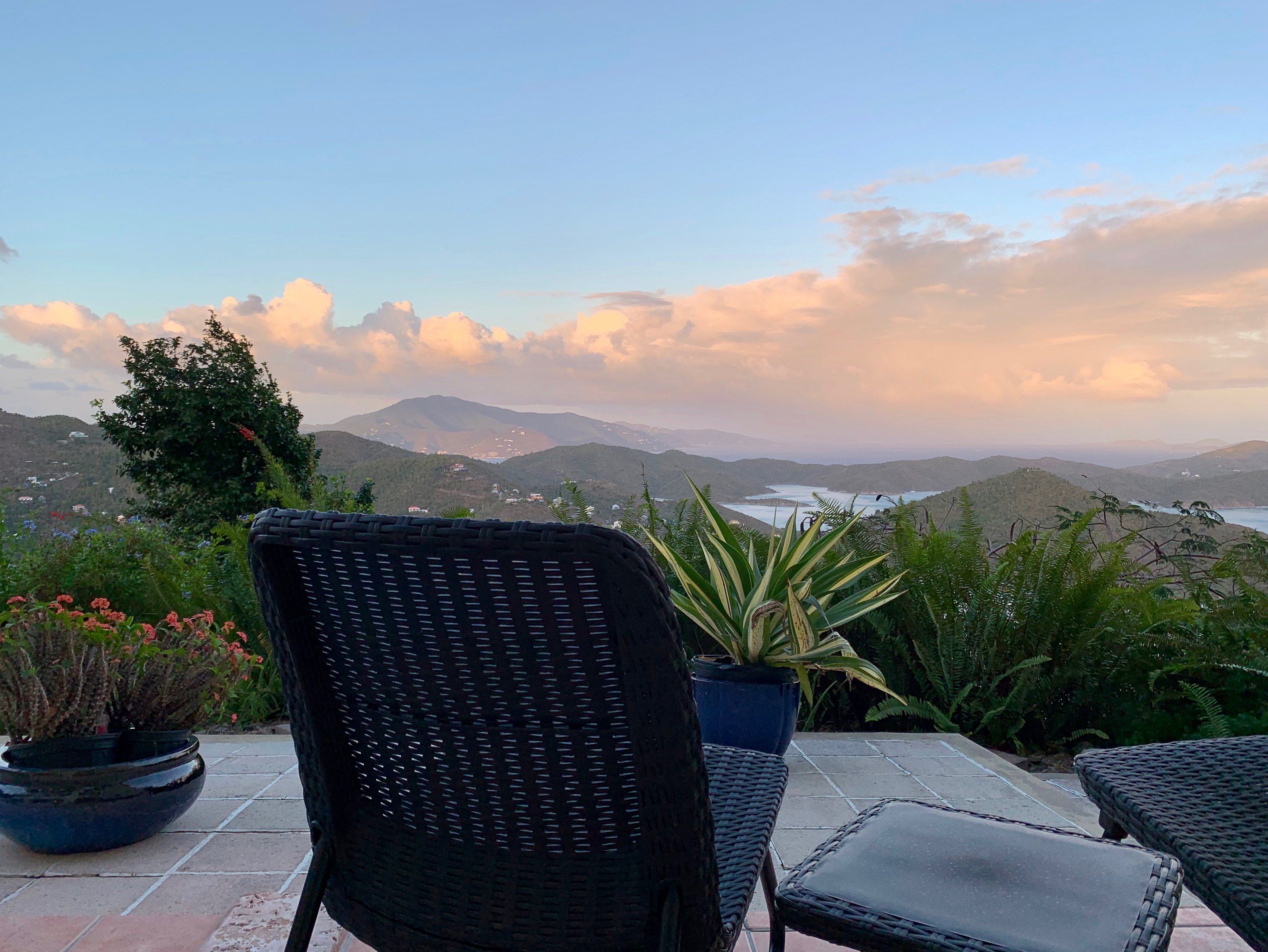 Poolside tranquility
