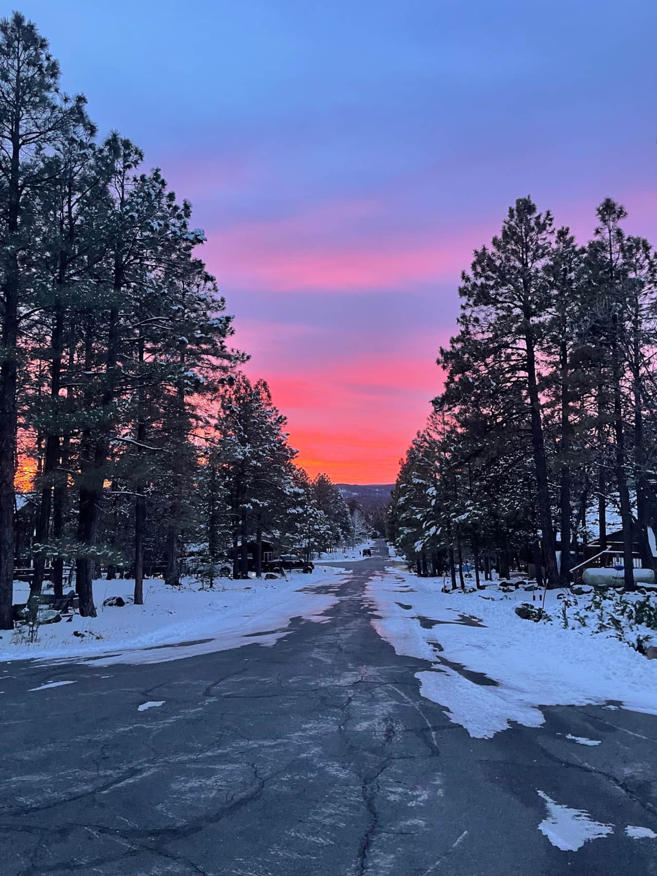 Snowy road leading to dog-friendly Jag Cabin in Munds Park, Arizona