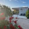 Rental image