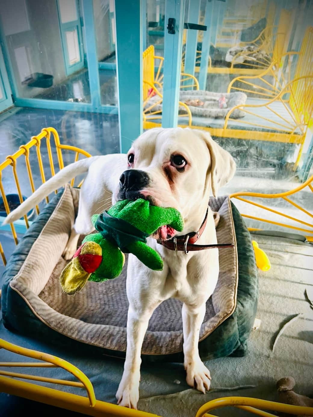 Aca25acb 74ed 43d8 a78e afa6592da568 Aca25acb 74ed 43d8 a78e afa6592da568