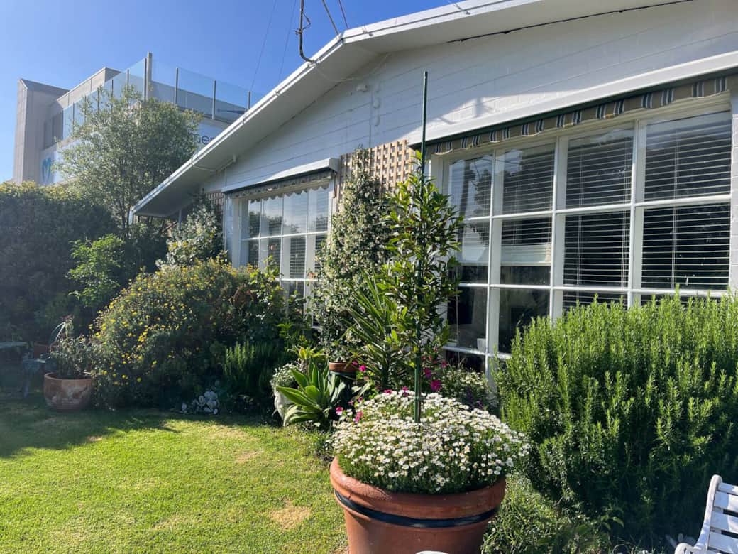 front garden 