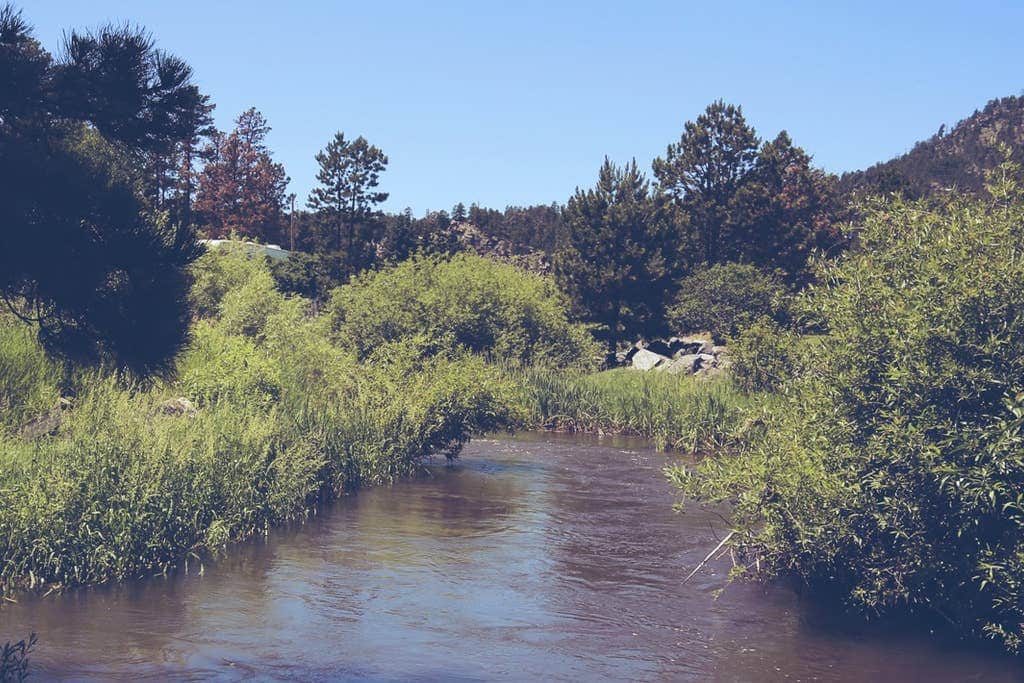 Creekside campground with great fishing hole