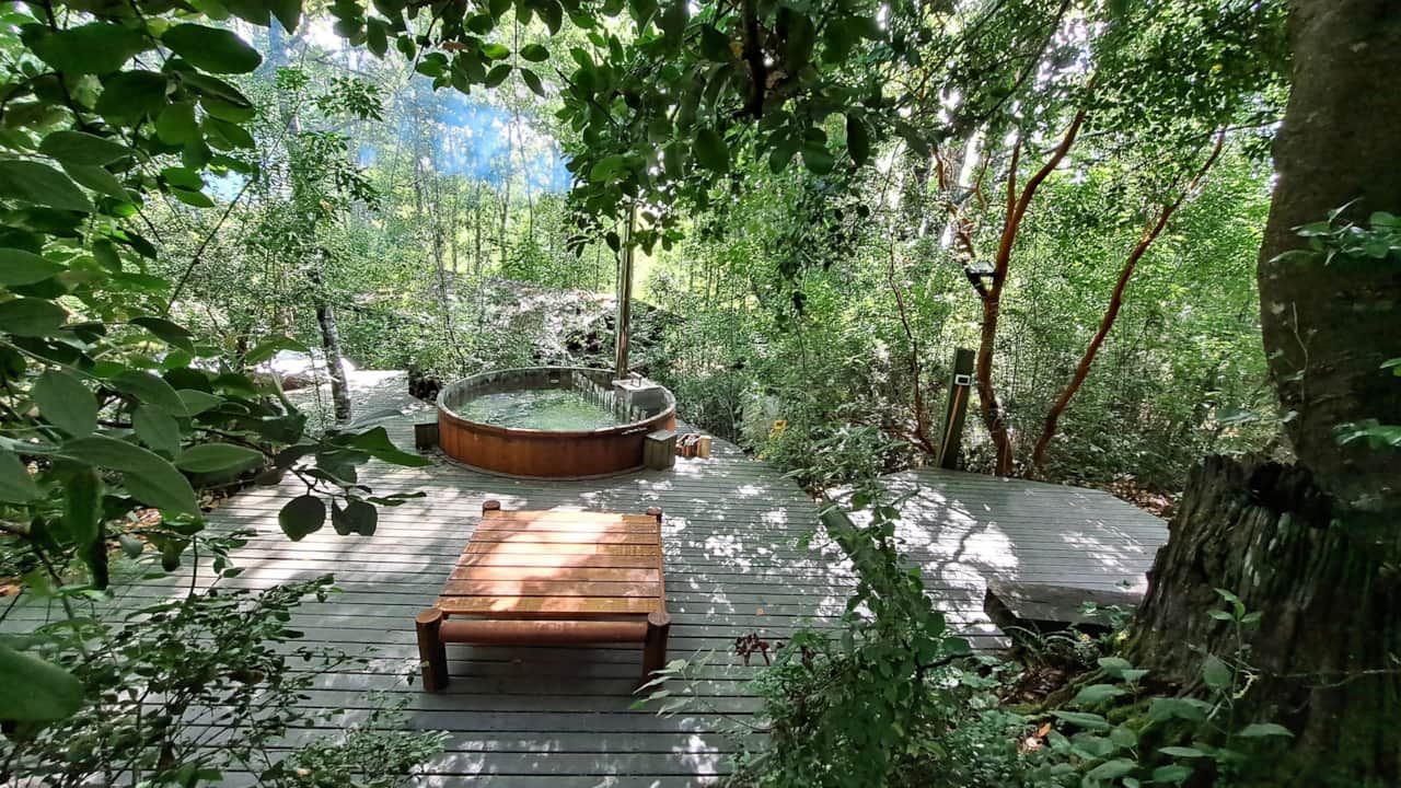 Tinajas en el bosque - 