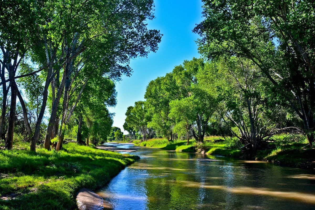 San Pedro River during monsoon.  Amazing to see this oasis in "the desert".