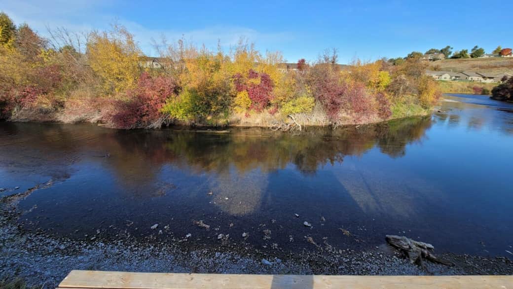 View from the dock in the fall. 