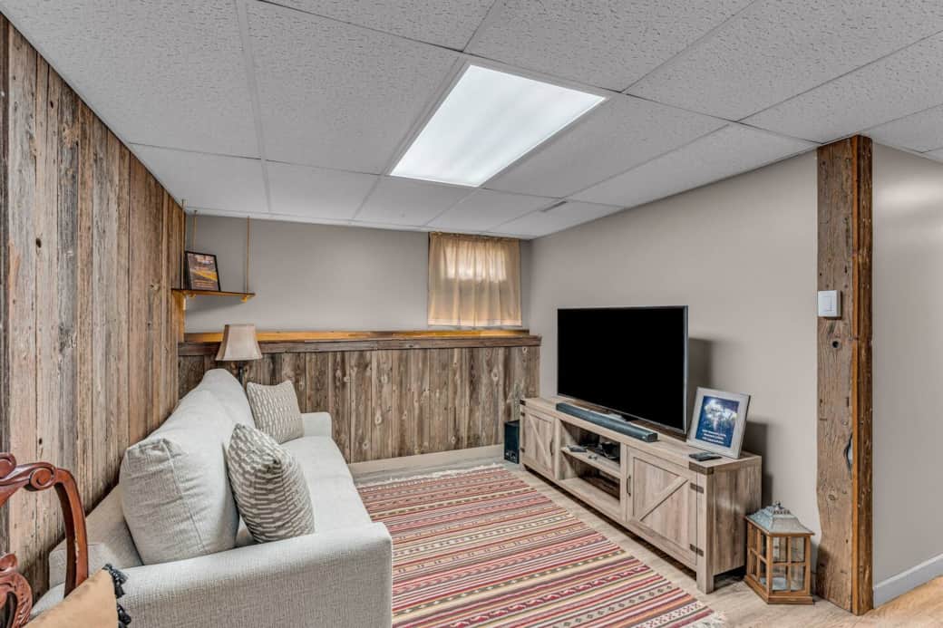 Basement Living Room and Sleeper