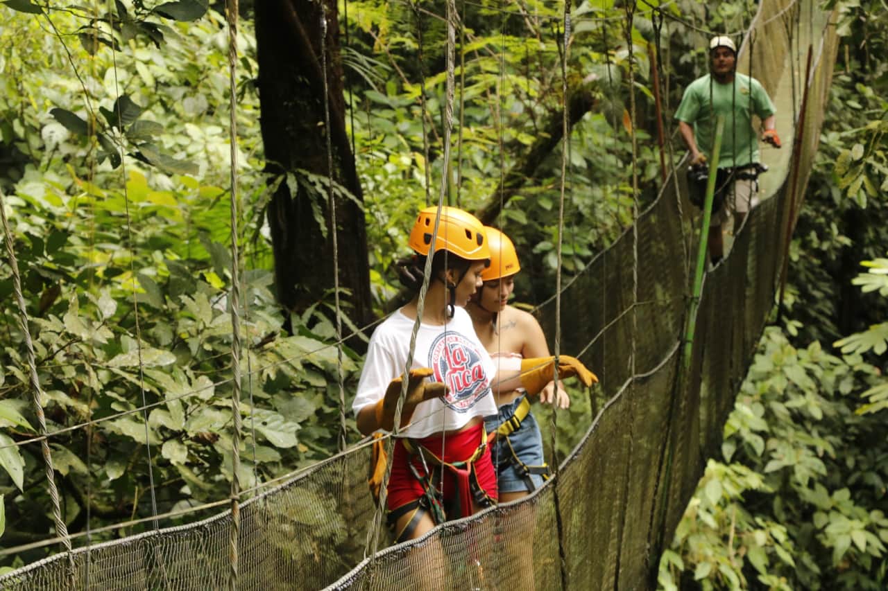 CANOPY MANUEL ANTONIO