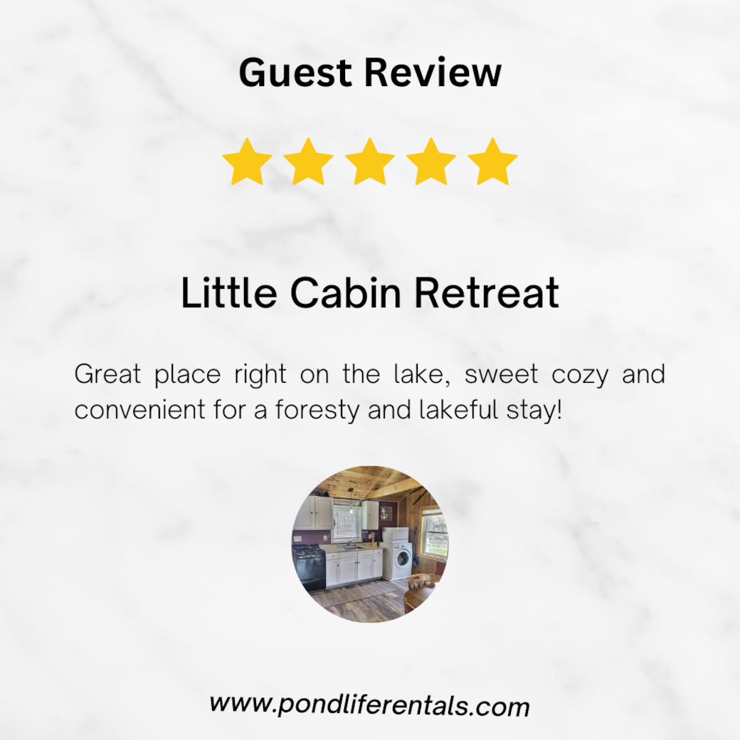 Guest Review