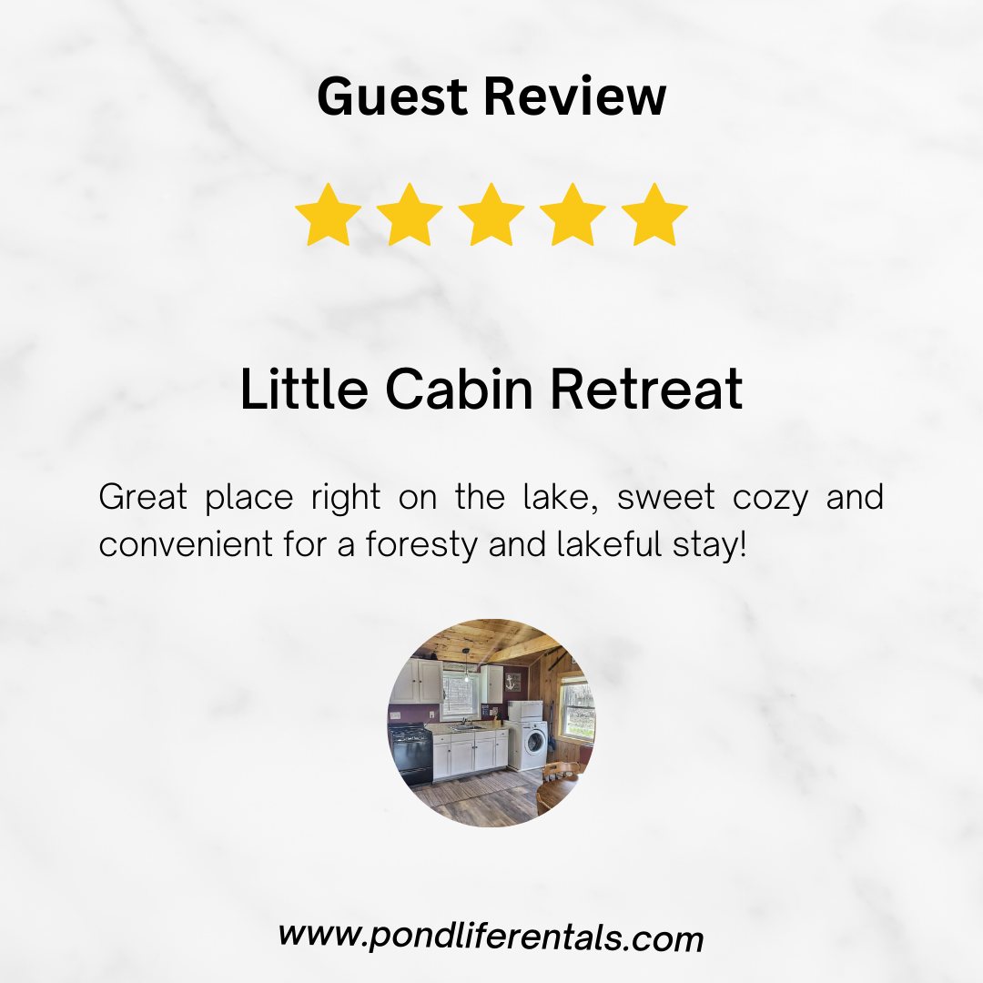 Guest Review