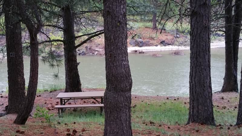 Campsite 42